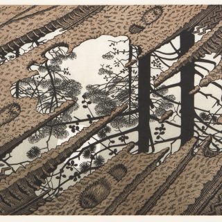 Maurits Cornelis Escher Artwork