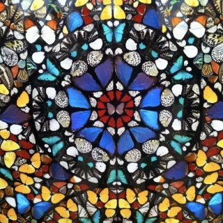 Damien Hirst Artwork