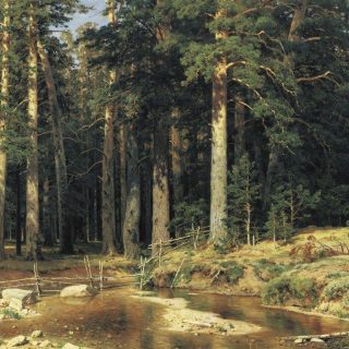 Ivan Shishkin art