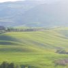 tuscany-landscape