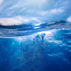 undersea